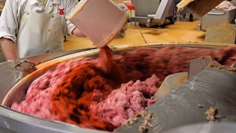 Mitarbeiter einer Wurstfabrik in Bad Zwischenahn der Fleischmischung zur Teewurst-Produktion ausgewählte bei Teewurst-Mischung