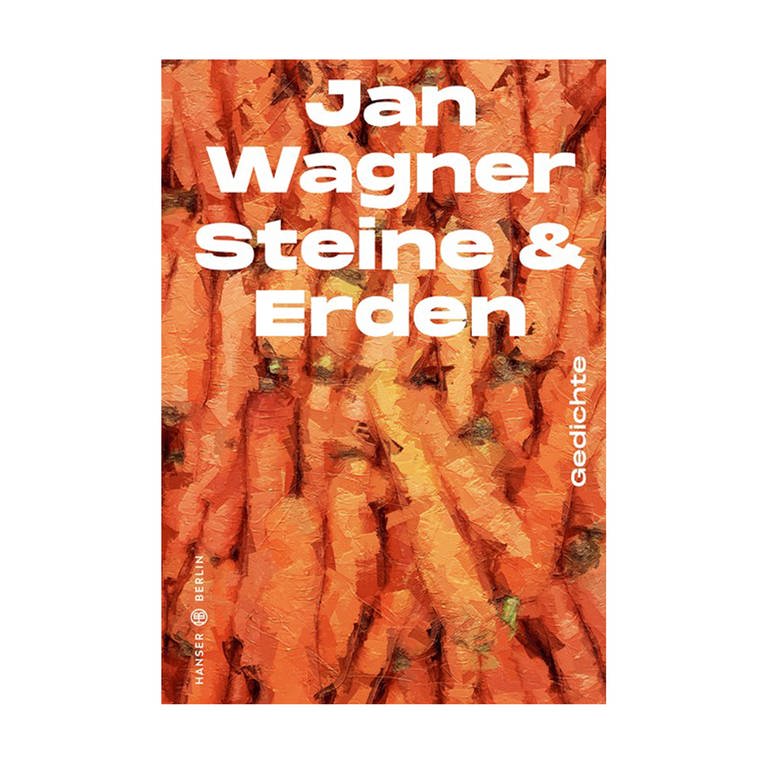 Cover des Buches "Steine & Erden" von Jan Wagner