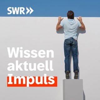 Podcastbild SWR Impuls