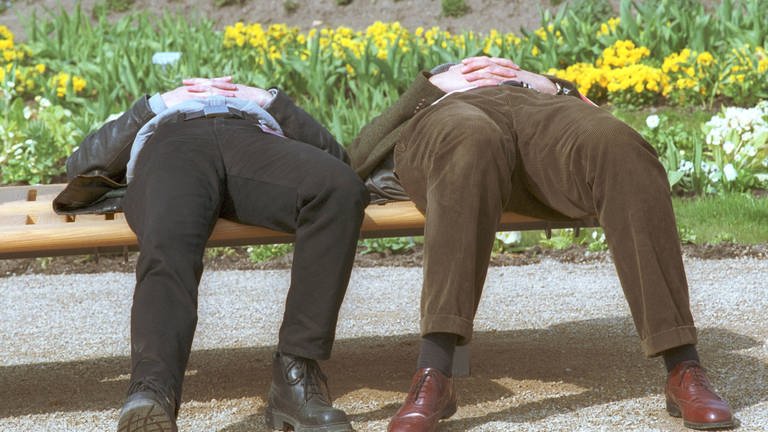 Frühjahrsmüde: Zwei Männer schlafen, umringt von Frühlingsblumen, auf einer Parkbank