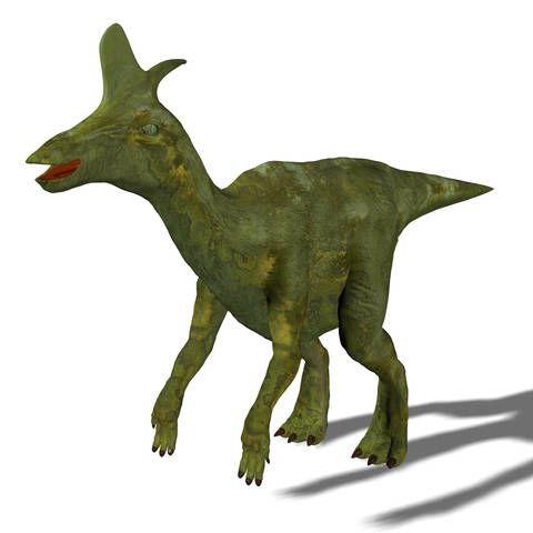 Der Lambeosaurus trug zwei Konchenstrukturen auf dem Kopf und hatte eine Länge zwischen 9 und 15 m (Foto: picture-alliance / Reportdienste, picture-alliance / Bildagentur-online/Saurer)